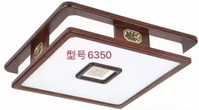 型号：6350